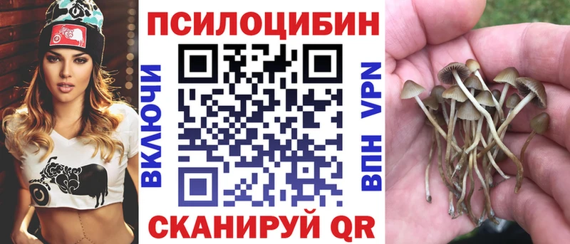 Галлюциногенные грибы MAGIC MUSHROOMS  Сухой Лог 