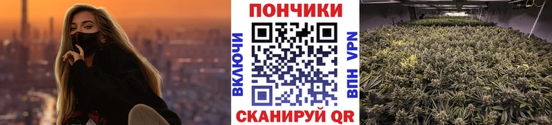 KRAKEN как зайти  Сухой Лог  Каннабис конопля 